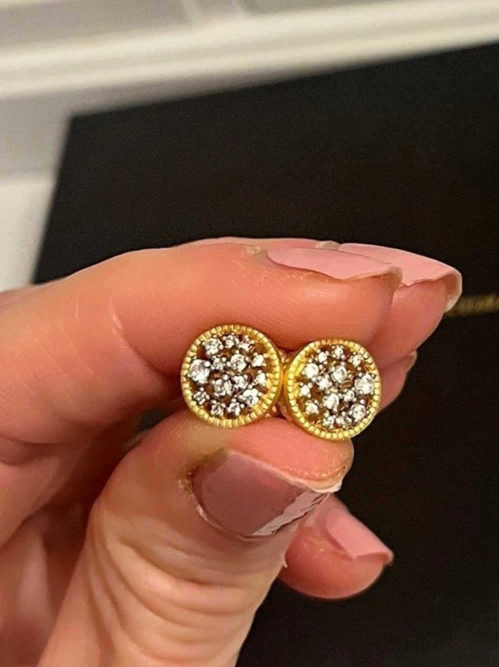 Freida Rothman Shining Hope Stud Earrings 925 silver/14k plating